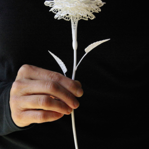 Impression 3D & art - Fleurs polyamide - Fabulous