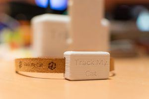 Mylan MIC Blend Web Mix - Track My Cat - Fabulous Impression 3D
