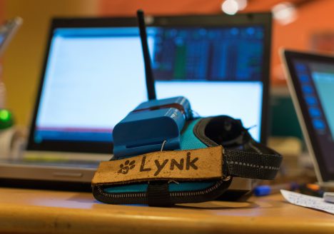 Lynx merial makers santé animale