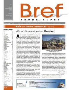 Votre Article Dans Bref N°2196-1