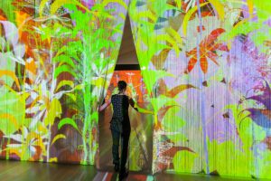 Miguel Chevalier - Fabulous Impression 3D Blog